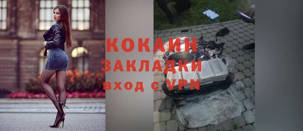стаф Дмитриев