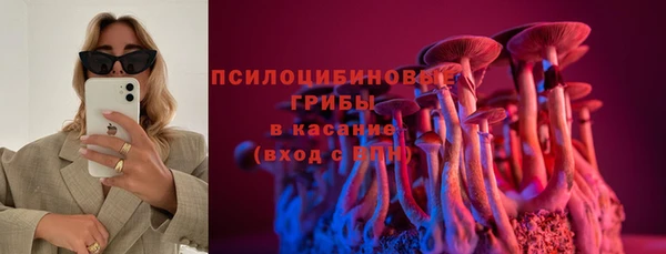 2c-b Гусь-Хрустальный