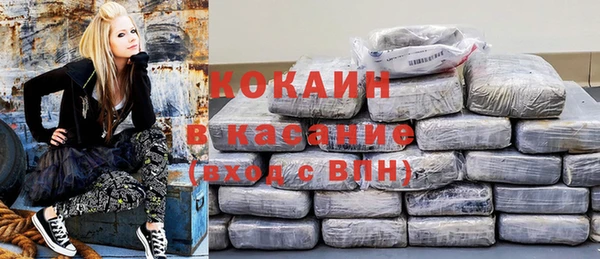 стаф Дмитриев