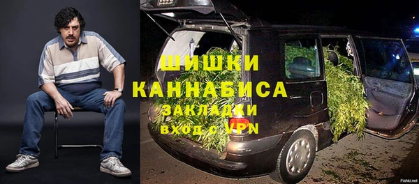 стаф Дмитриев
