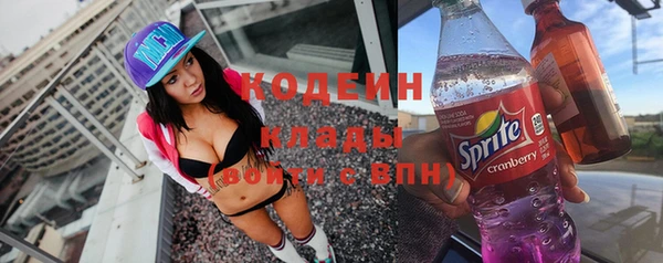 стаф Дмитриев