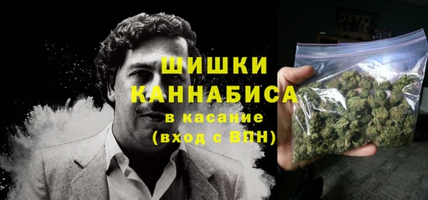 стаф Дмитриев