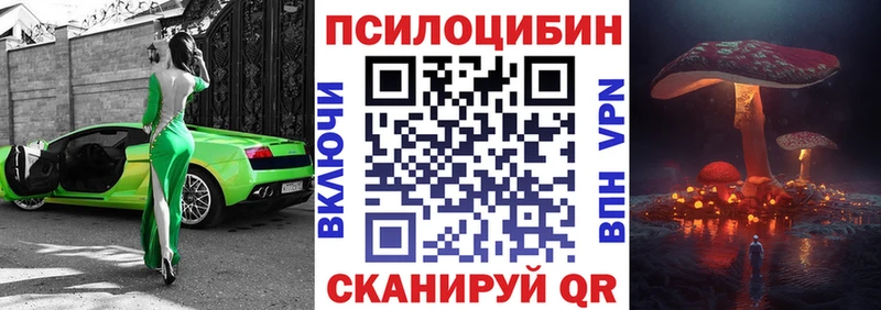 Галлюциногенные грибы GOLDEN TEACHER  Купить  Катайск 